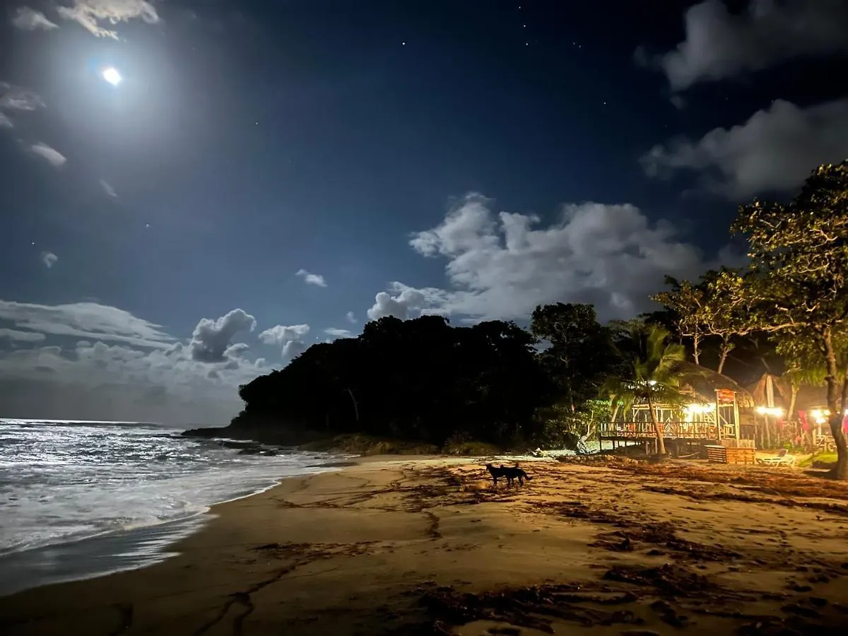 Cabarete Ecolodge Maravilla Beachfront,Encuentro, Surf, Kite 0*,  Dominican Republic